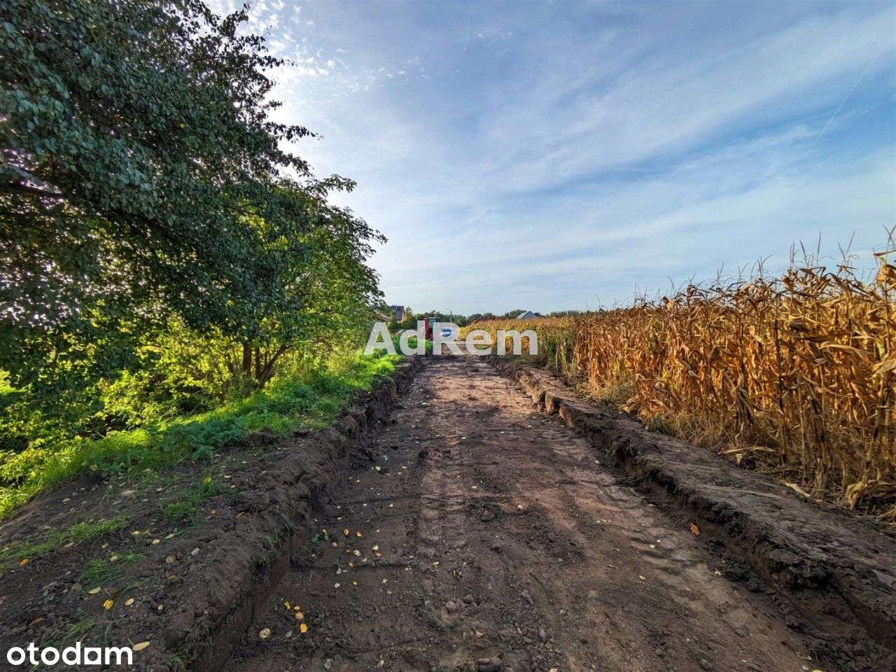 Oferta Dla Dewelopera | 18 Segmentów W-2