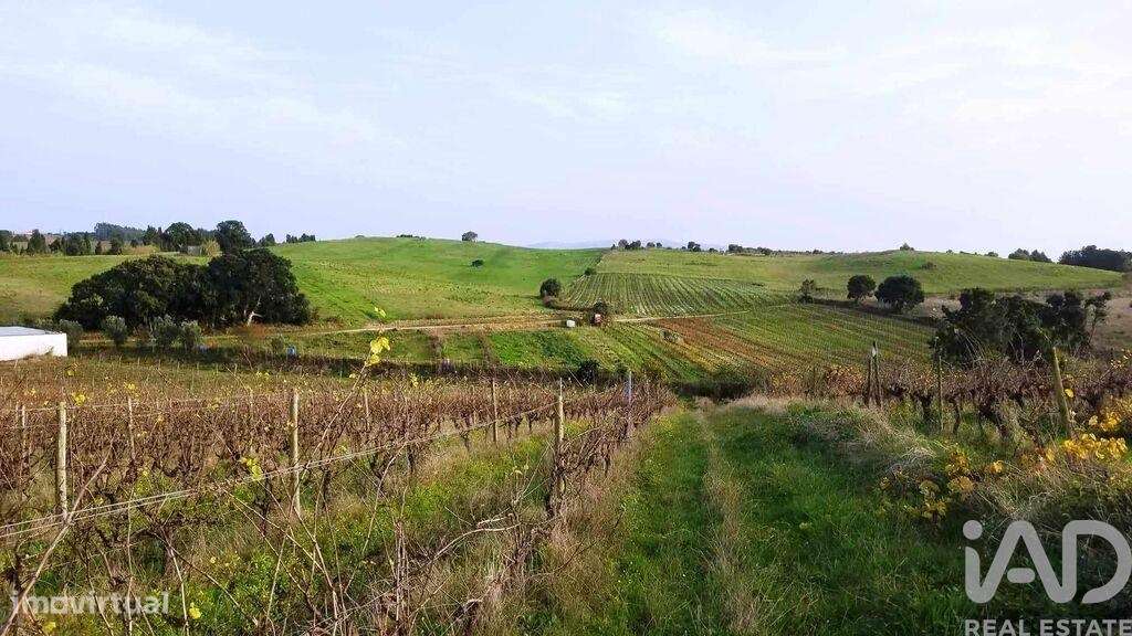 Terreno em Carvalhal de 50600,00 m2 - Grande imagem: 5/15