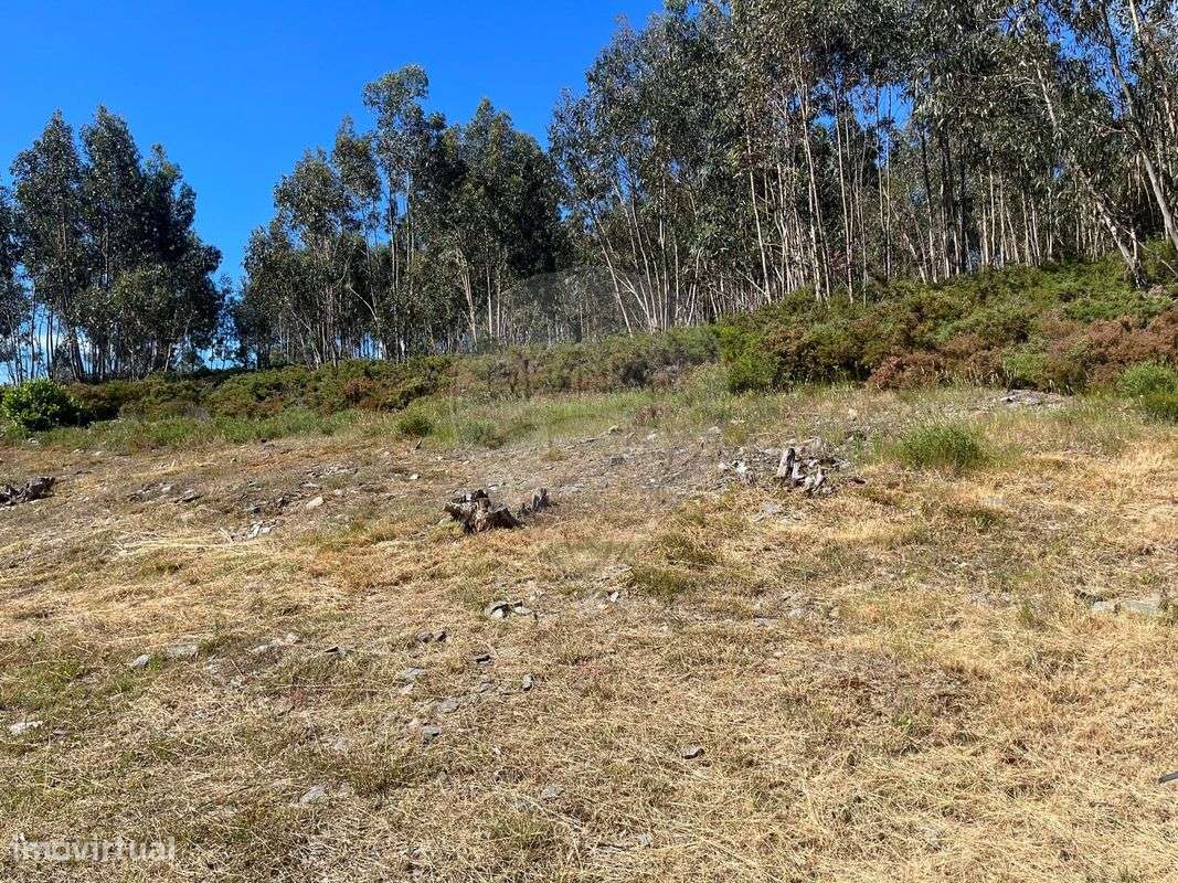 Terreno  para venda - Grande imagem: 5/5