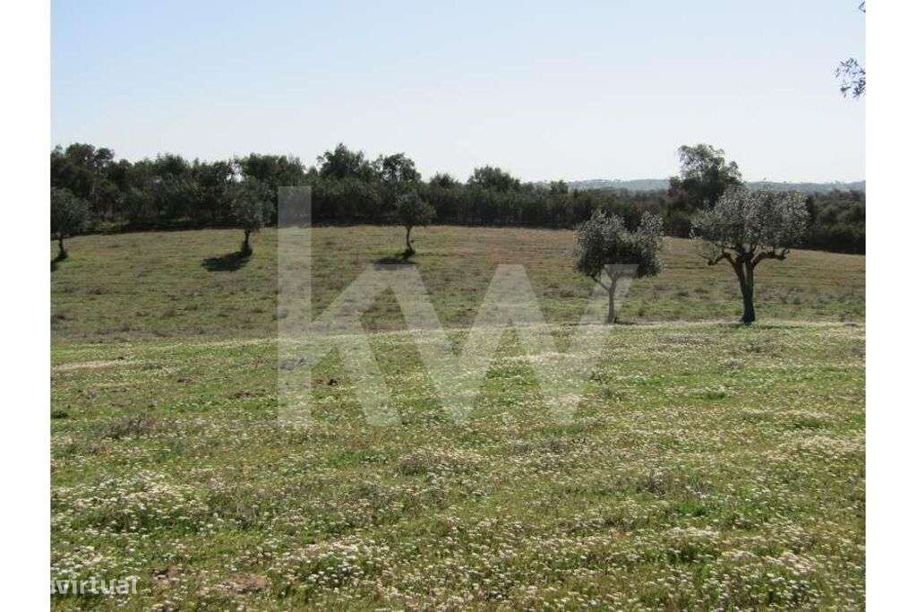 TERRENO AGRÍCOLA COM 3.325 HA  COMENDA, GAVIÃO - Grande imagem: 5/16
