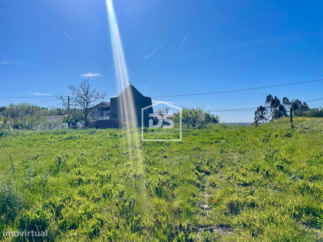 Terreno  Venda em Aljubarrota,Alcobaça - Grande imagem: 5/9