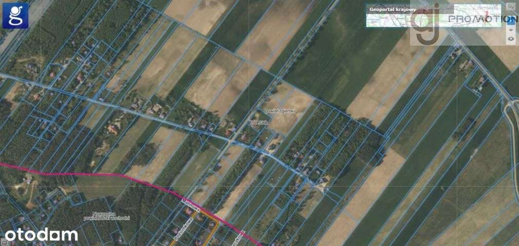 Na sprzedaż 2 działki, o pow. 6638 mkw., Bartolin - Pełny obrazek: 5/5