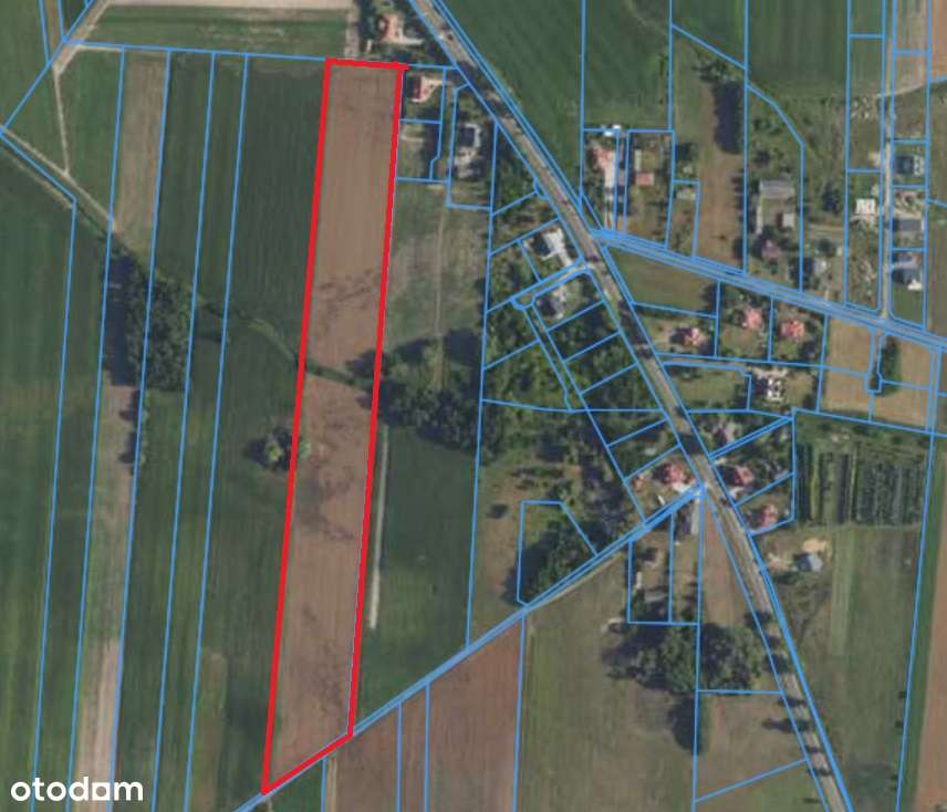 *działka rolno-budowlana*autobus*cisza*spokojna okolica* - Pełny obrazek: 2/2