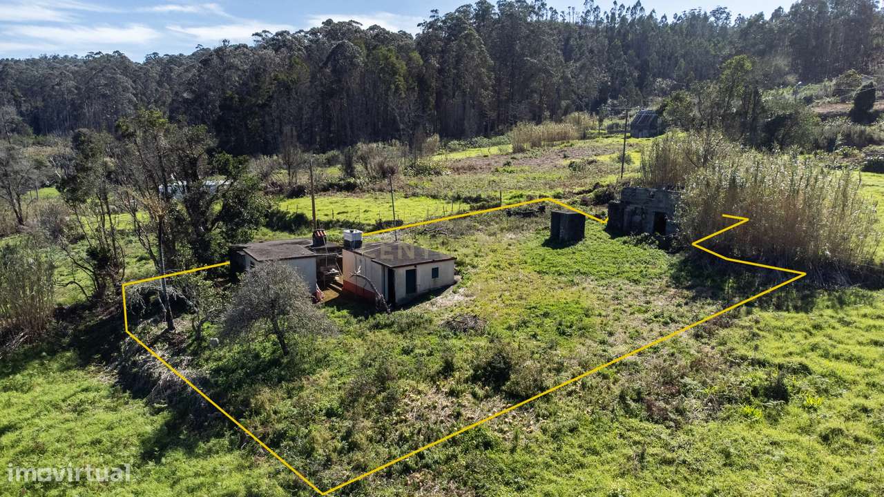 Moradia Independente no Pico Alto - Porto Moniz - Grande imagem: 2/21