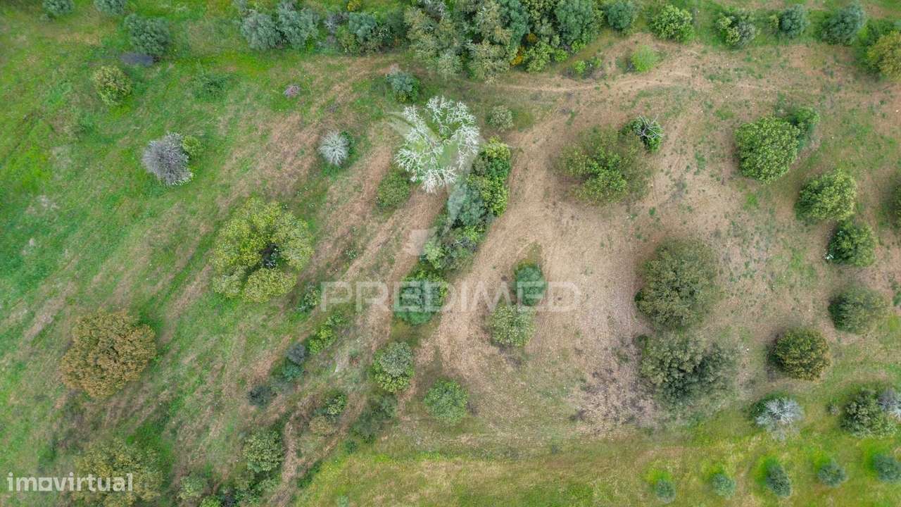 Terreno Rústico de 5 Hectares à Venda ,Alandroal - Grande imagem: 4/6
