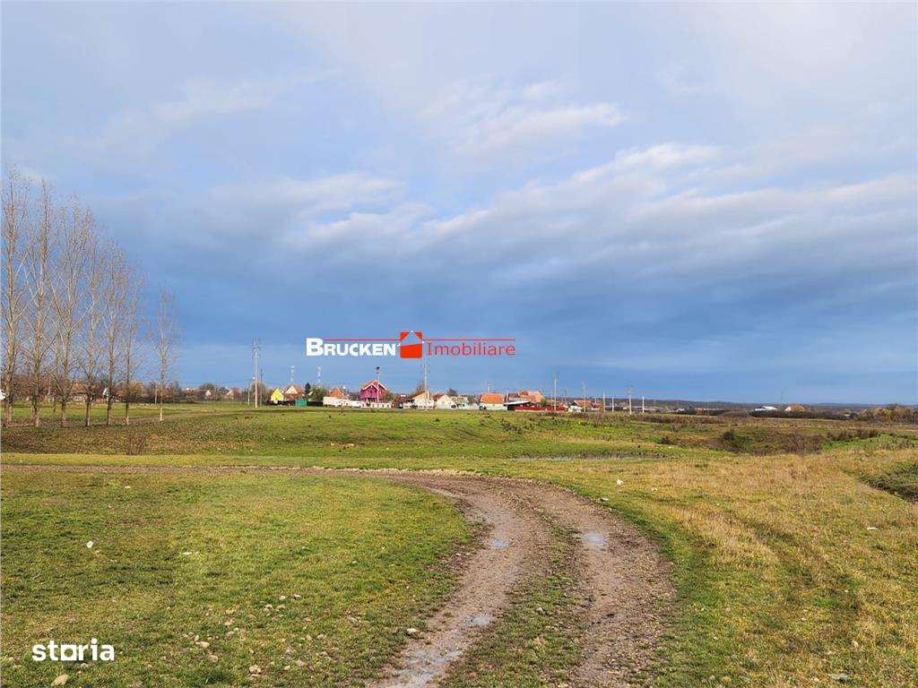 TEREN PENTRU DEZVOLTARE IMOBILIARA - Imagine principală: 4/4