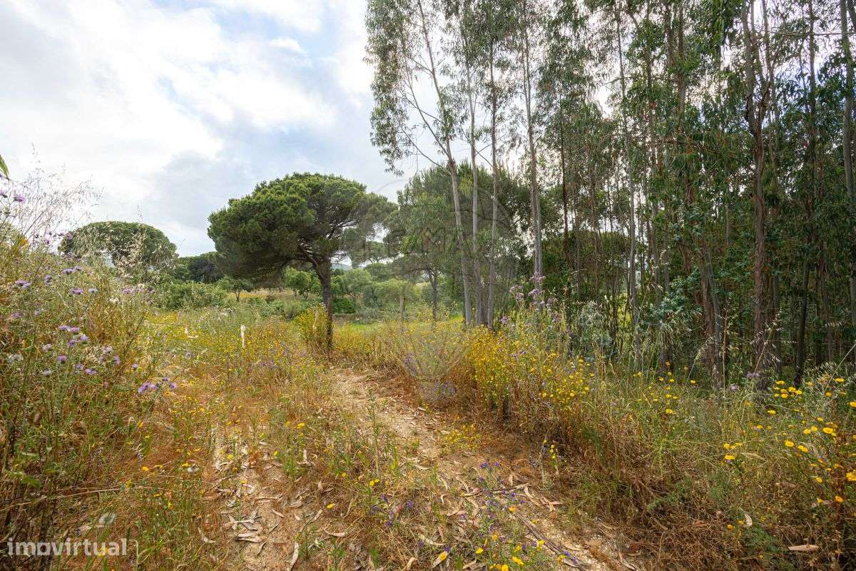 Terreno  para venda - Grande imagem: 5/6