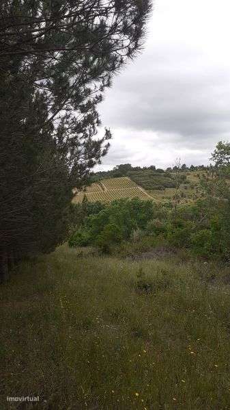 Vendo terreno Zona Azambuja - Grande imagem: 4/8