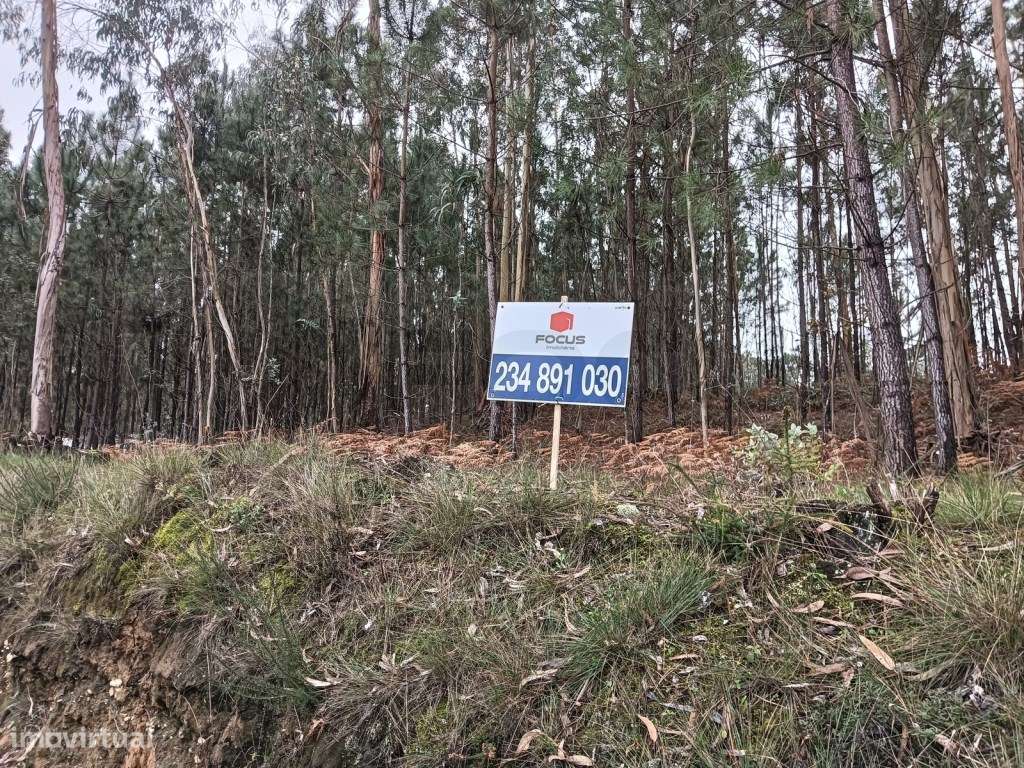 Terreno com 90 m de frente - Aveiro - Grande imagem: 5/21