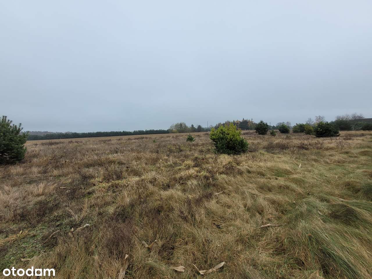 GOŁĄBKI na sprzeedaż działka budowlana 950m2-15