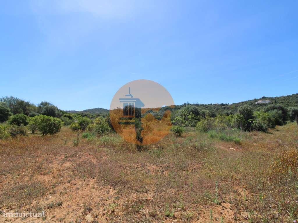 Terreno Rustico - Grande imagem: 2/17