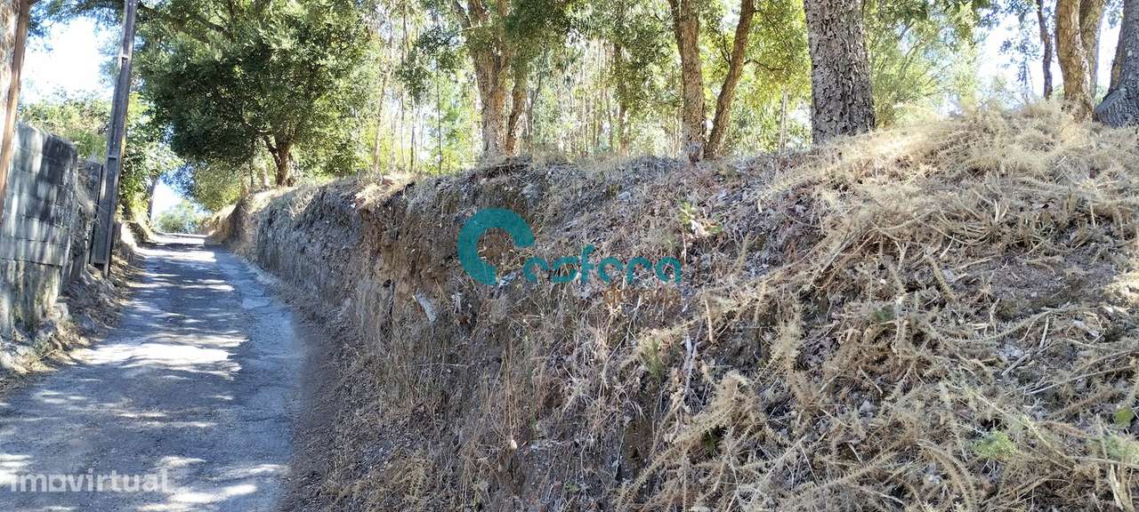 Terreno para construção, Sanguedo, Santa Maria da Feira - 70.000,00€ - Grande imagem: 5/6