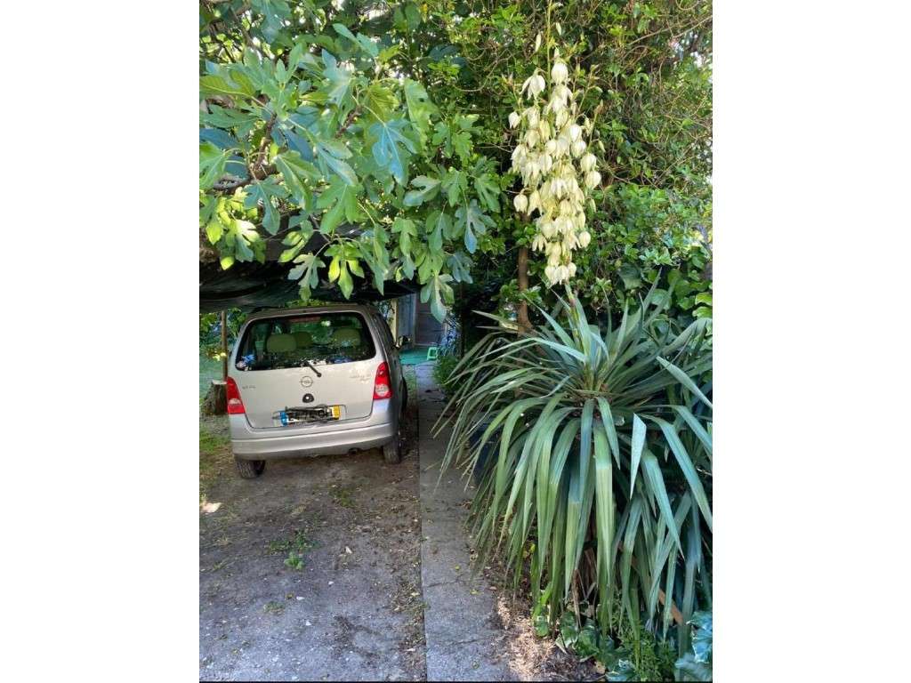 Moradia tipologia T2-38