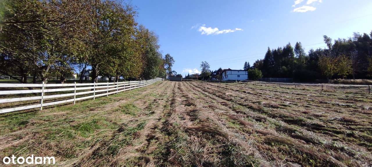 Działka budowlana w Maleniskach (13 ar), warunki zabudowy, media - Pełny obrazek: 3/10