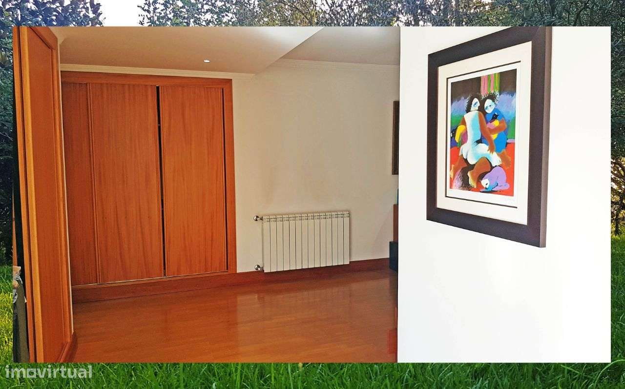 Quintinha com Mata secular-28