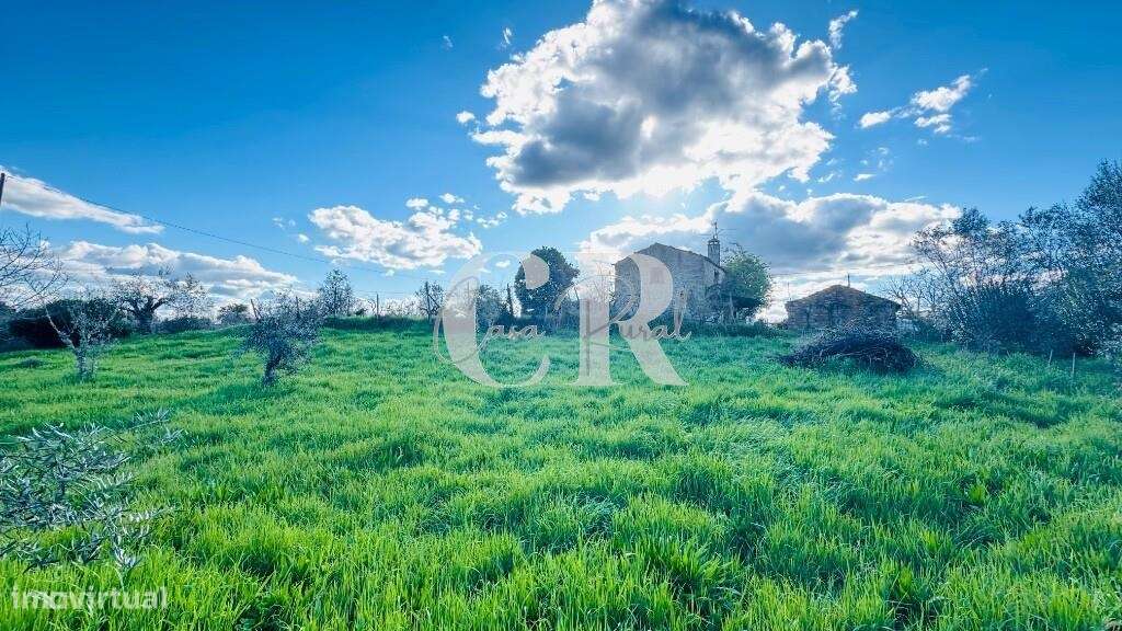 Quinta com casas de pedra para recuperar, poço e furo-38