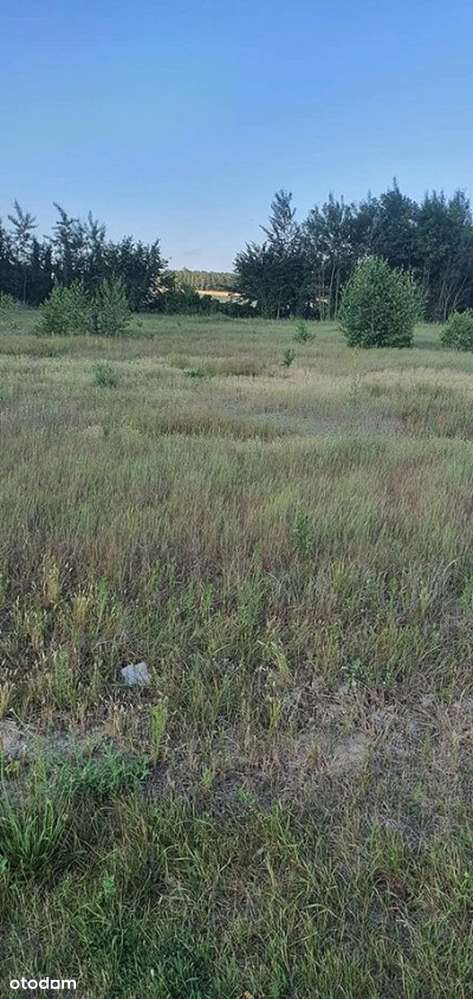 Działka budowlana o powierzchni 1452m2, gm. Szczytniki - Pełny obrazek: 4/5