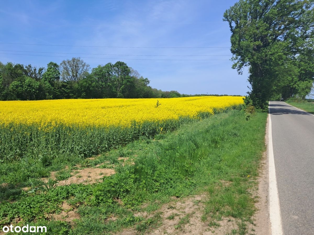 Działka, 3 000 m², Bychowo