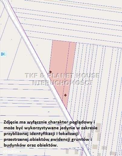 Działka w Modrzewiu gm.Opoczno - Pełny obrazek: 5/5