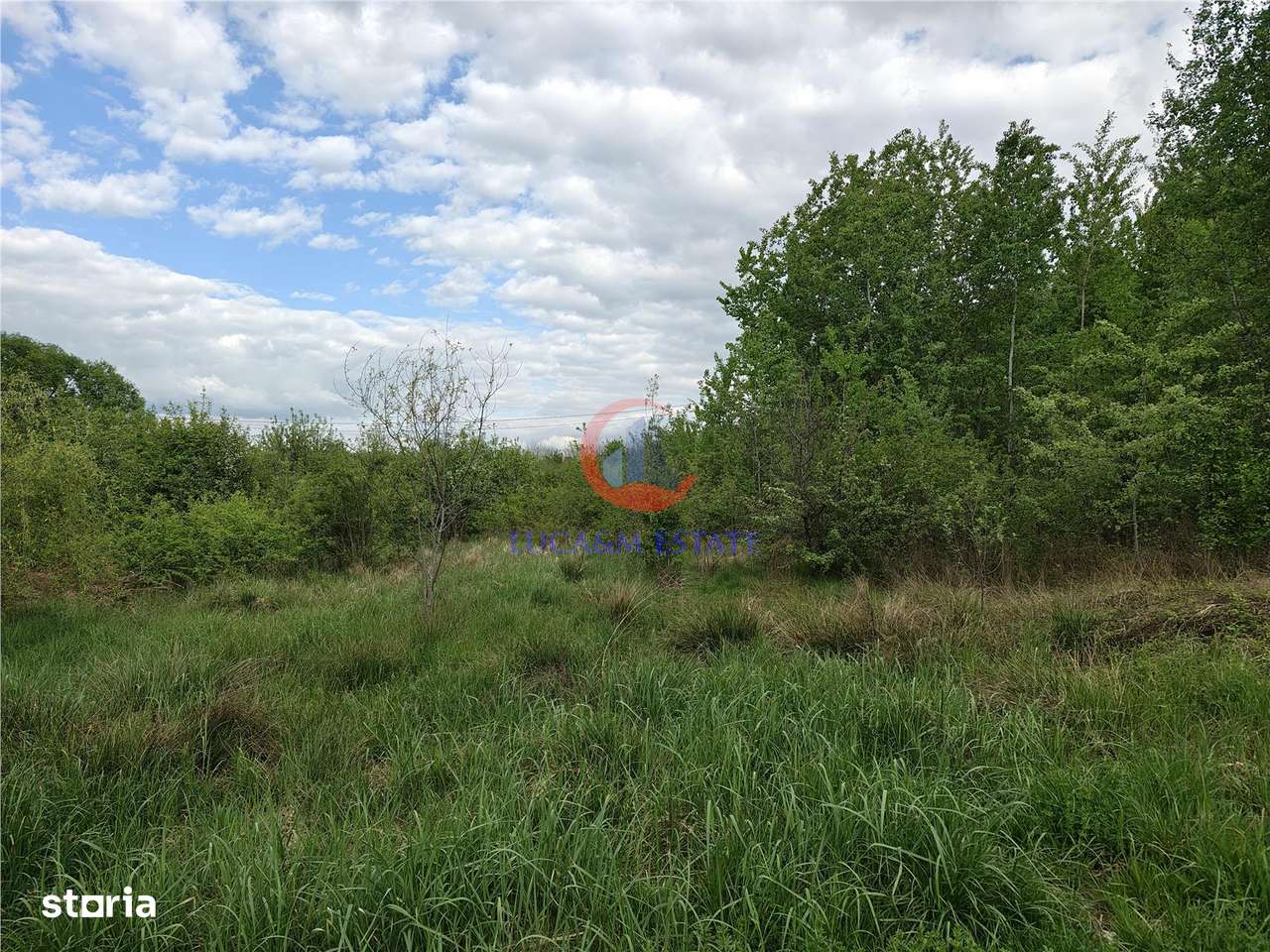 Teren Lacul Surduc Fârdea - Imagine principală: 4/4