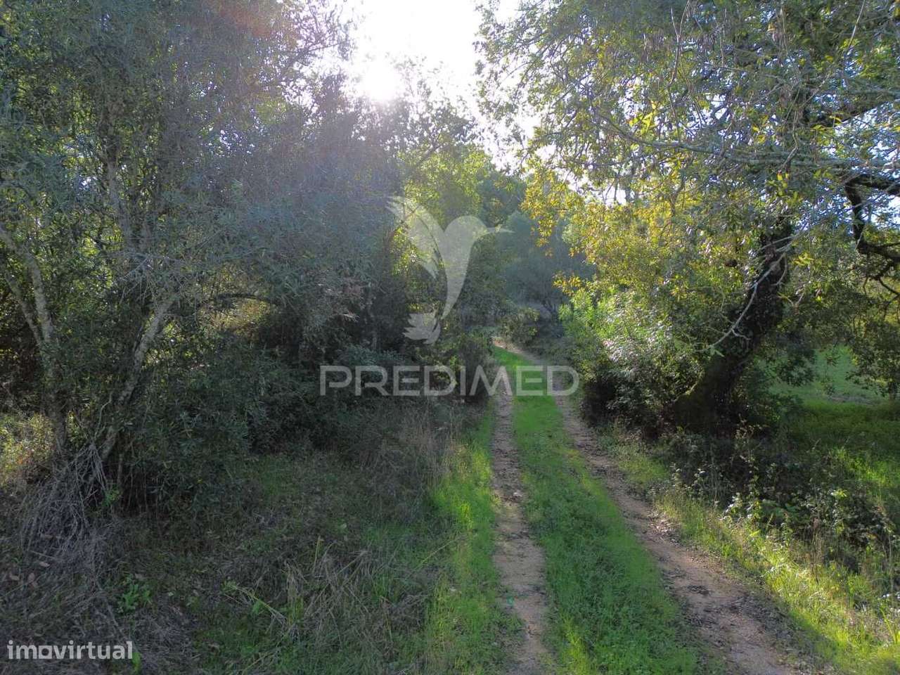 Terreno Rústico de 18.360 m² em Arneiro das Milhariças - Grande imagem: 3/25