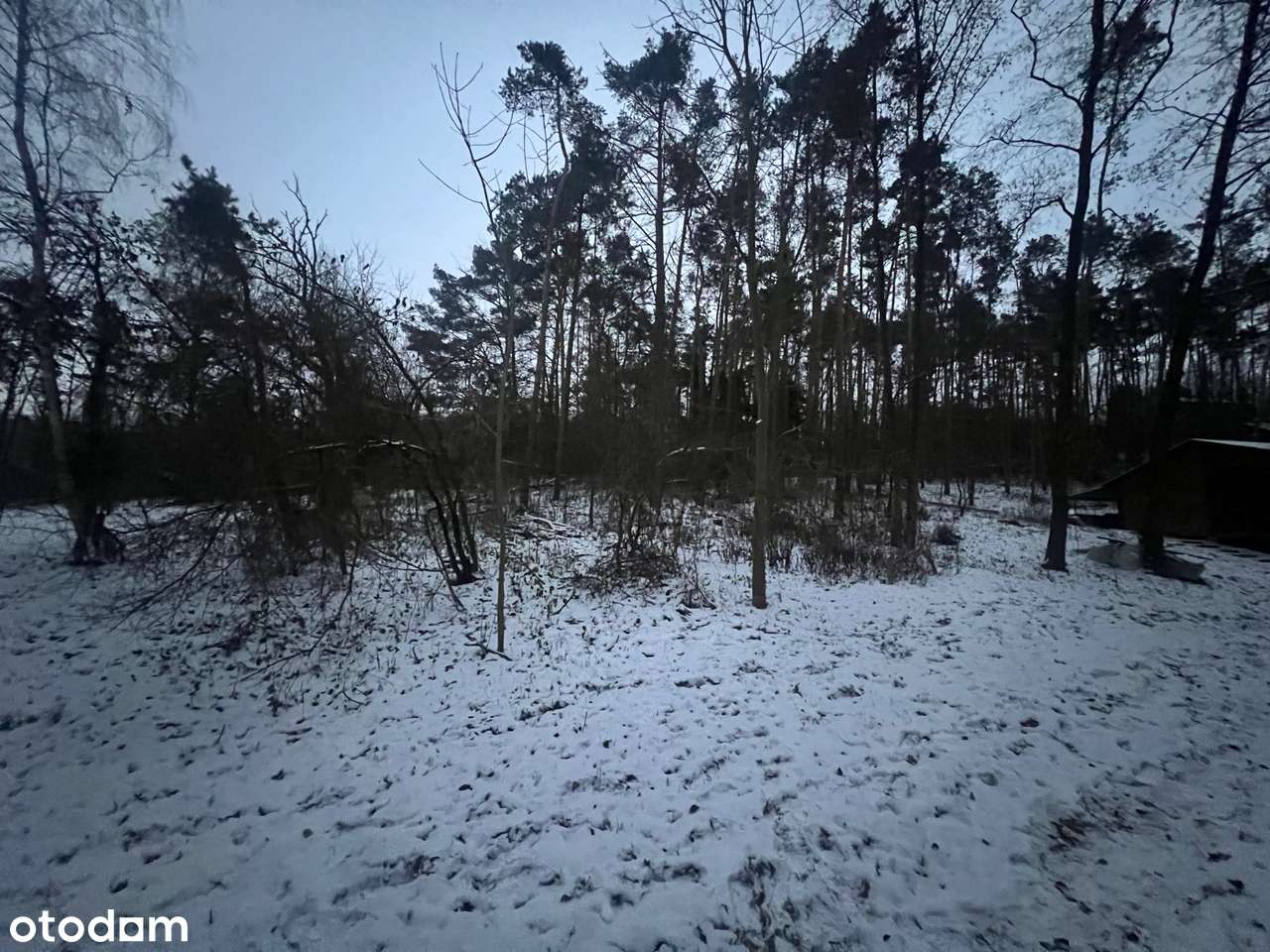 Wyjątkowa działka z prywatnym dostępem do Jeziora Ostrowickego - Pełny obrazek: 4/6