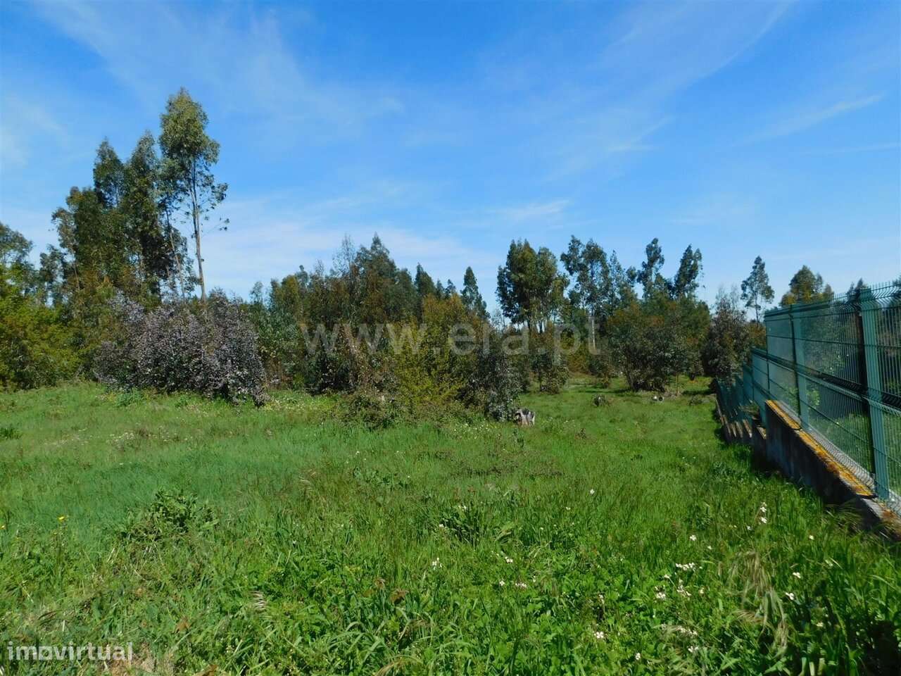 Terreno / Seia, Sameice e Santa Eulália - Grande imagem: 4/13