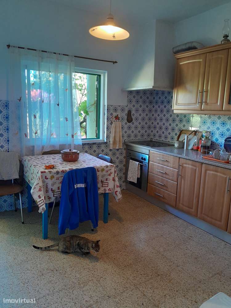 Moradia T3 C/ 10.000M2 Terreno C/ Furo-27