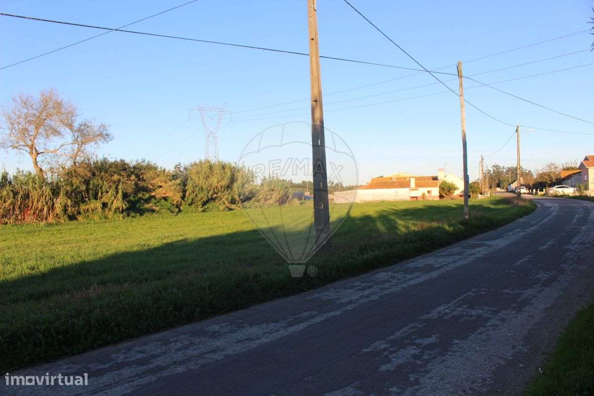 Terreno  para Venda - Grande imagem: 5/8