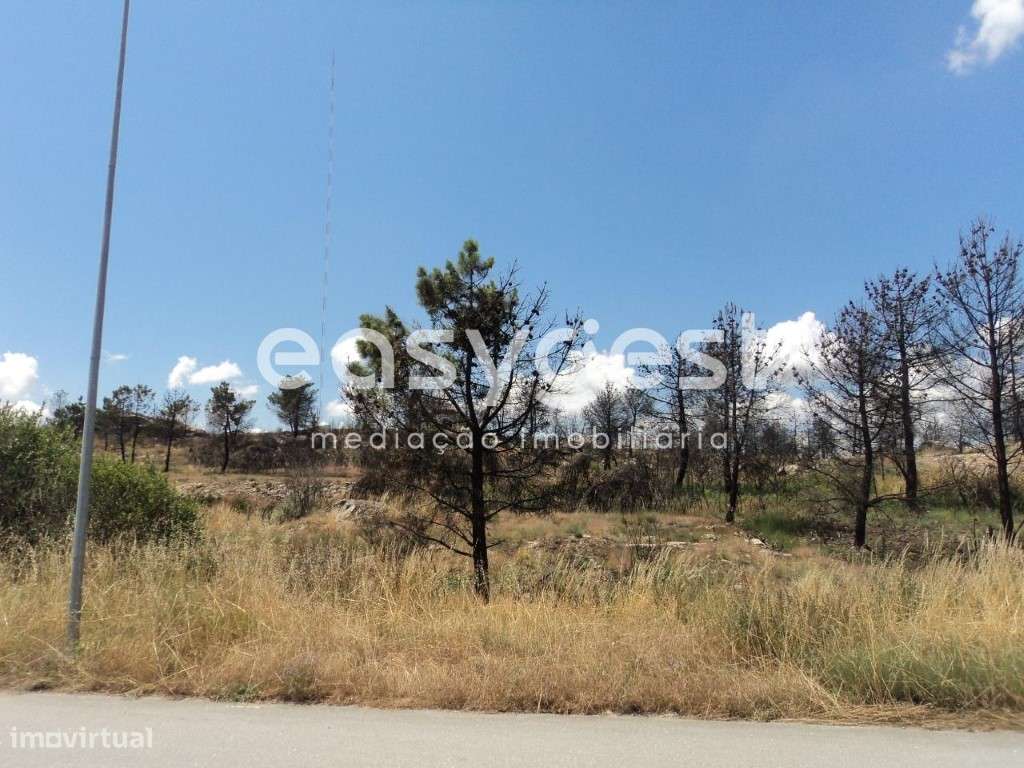 Lote na Zona Industrial de Alijó - Grande imagem: 4/11