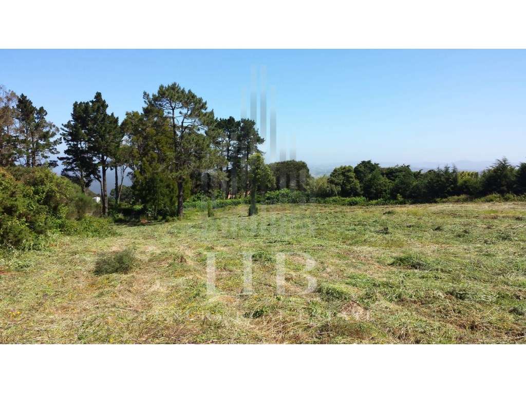Terreno para Investimento Sintra - Grande imagem: 5/8