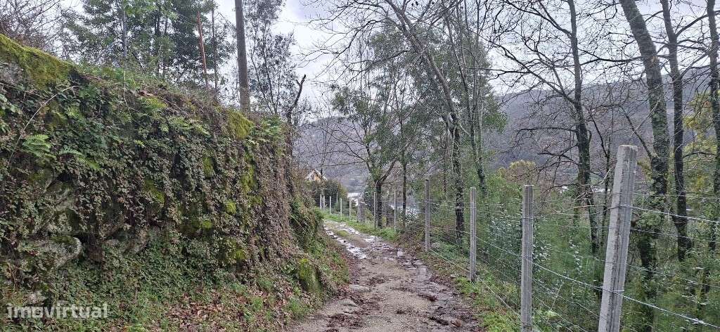 Terreno  Agrícola  Ecológico - Valdosende - Grande imagem: 4/27