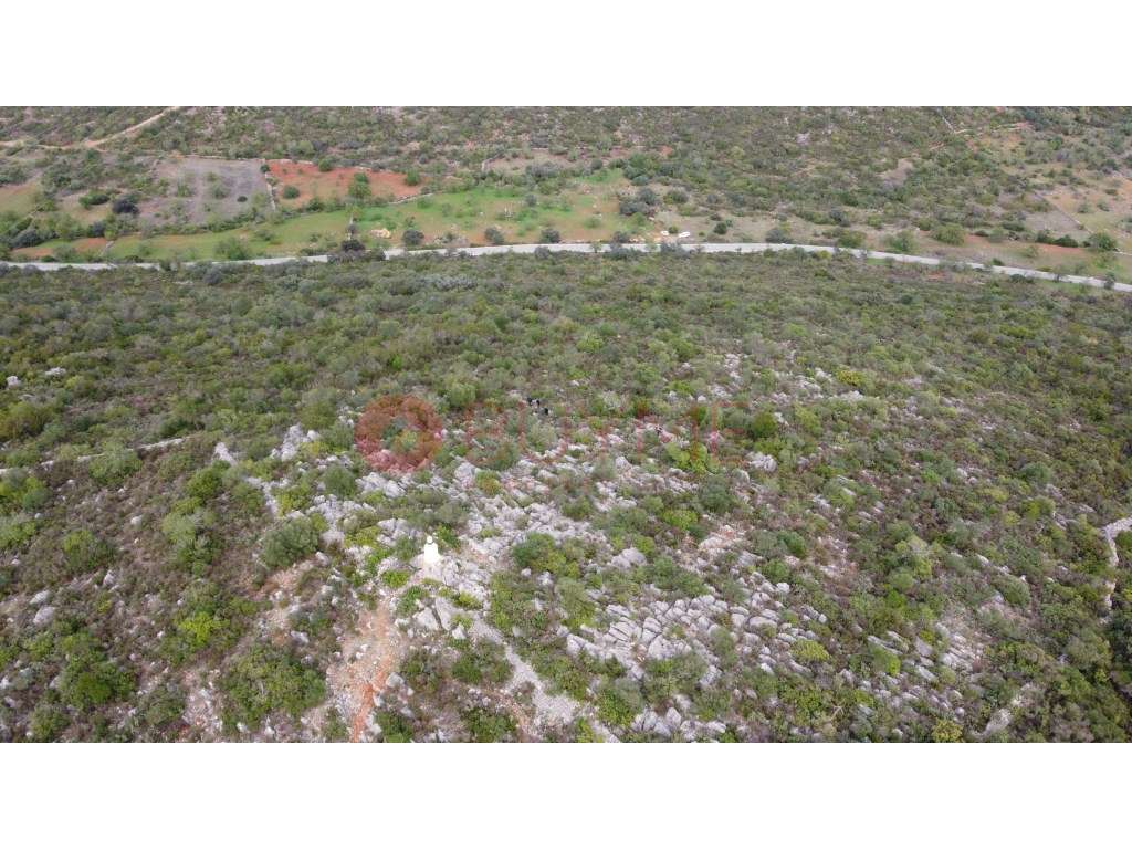 Terreno Rústico com Oliveiras e Alfarrobeiras em S. Brás de Alportel - Grande imagem: 2/7