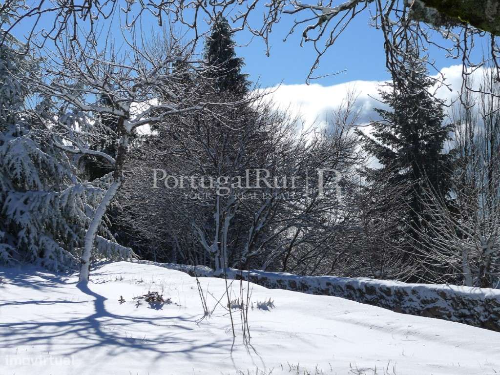 Moradia com potencial de investimento na Serra da Estrela, Covilhã-58