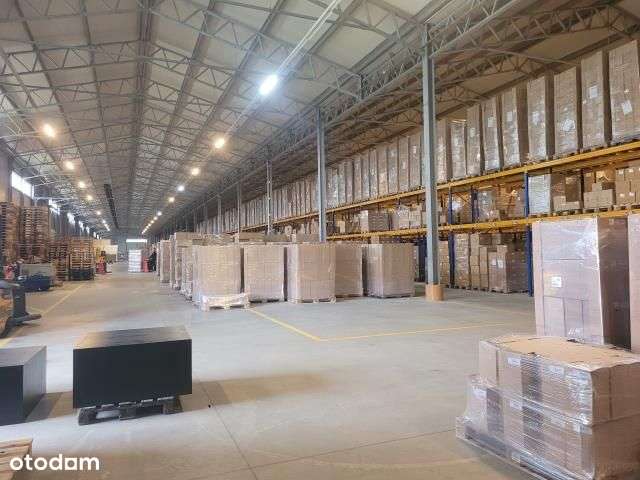 Nieruchomość produkcyjno- magazynowa na sprzedaż-7