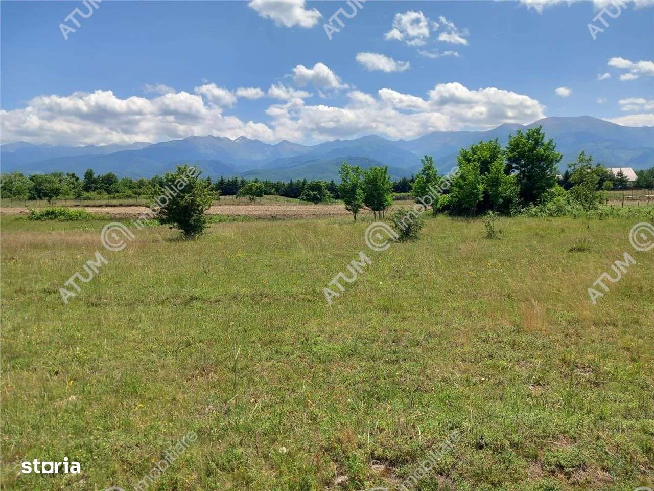 Teren intravilan 5000 mp pe Valea Avrigului, Sibiu - Imagine principală: 5/9