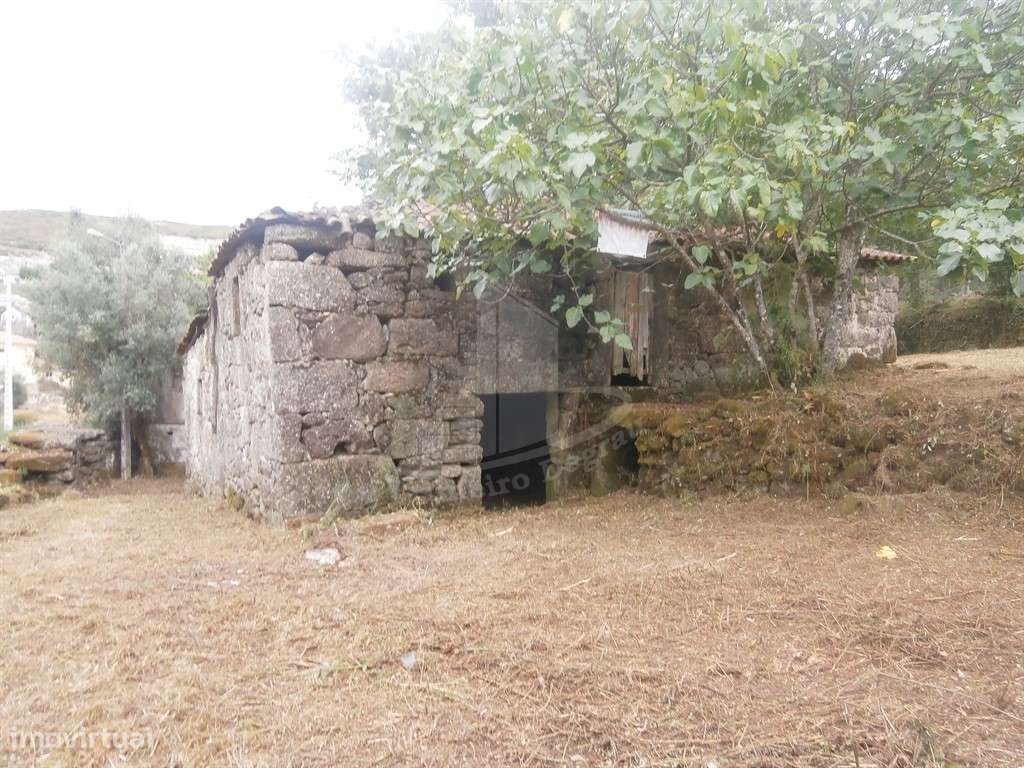 Quintinha com 4.647 m² e Duas Casas para Restaurar em Friande - Grande imagem: 3/20