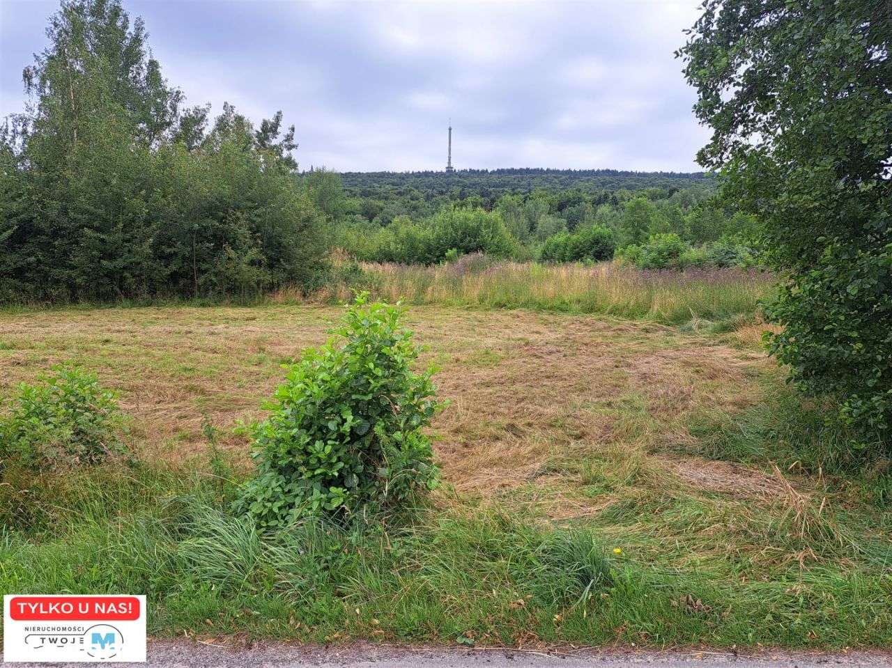 Dzialka - tylko 30min szlakiem na Święty Krzyż! - Pełny obrazek: 1/6