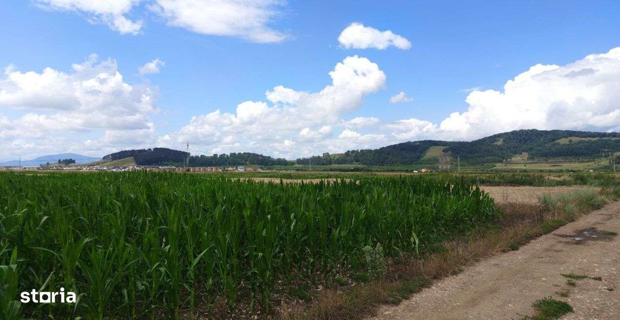 Teren parcelabil , Harman - Zona Aleea 14 - Imagine principală: 3/5