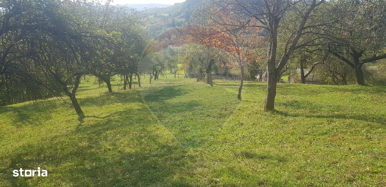Casă si teren 1.6 ha de vânzare, în Rona de Jos-4