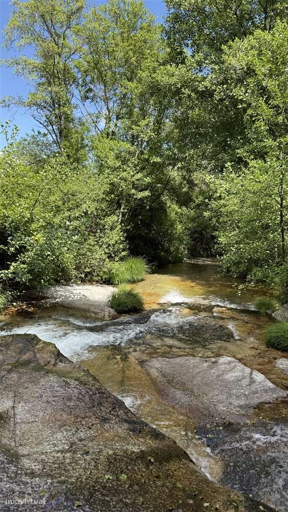 Moradia Isolada T3 Venda em Louriçal do Campo,Castelo Branco-58