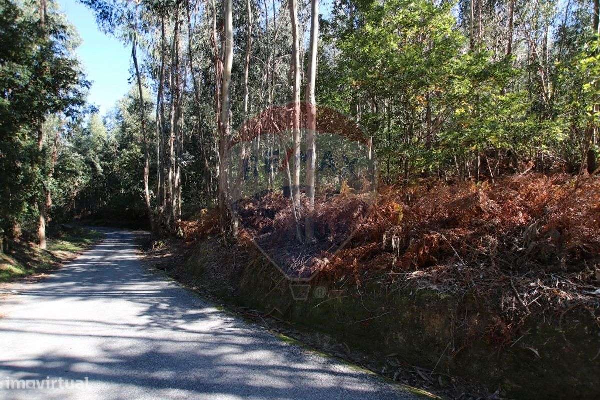 Terreno  para venda - Grande imagem: 5/7