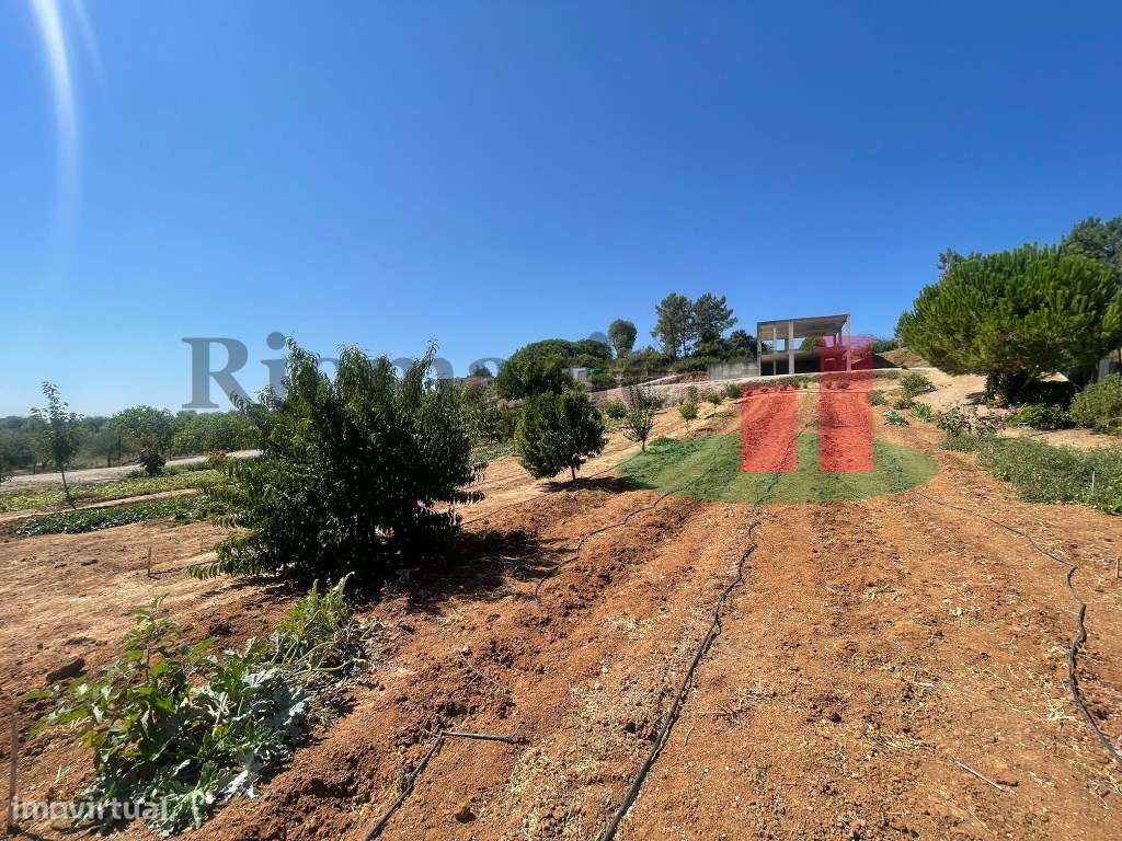 Terreno São João da Ribeira***RIOMAGIC***-40