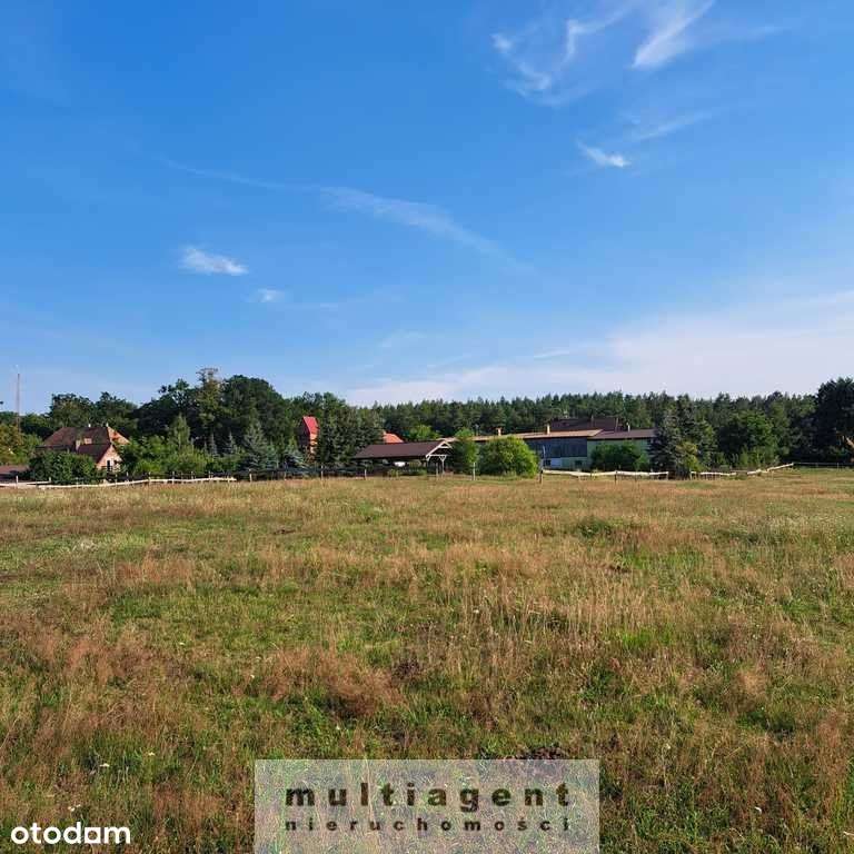 Brzózki działka pod budowę - Pełny obrazek: 4/6