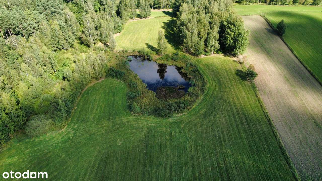 Przerośl - działka pod lasem - staw - 4 zł/m2-1