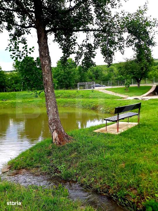 Casa cu 5 camere,  116 mp+teren 83 ari +lac de pesti, zona Budacul de - Imagine principală: 3/14