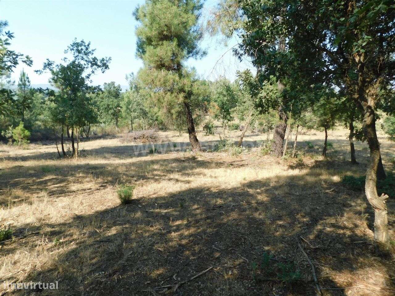 Terreno Rústico / Fundão, Capinha - Grande imagem: 2/3