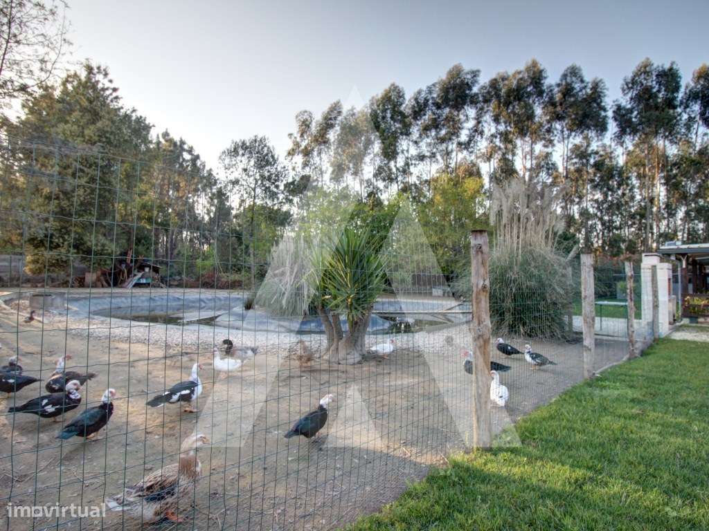 Moradia T4 de Luxo em Oliveira do Bairro-53