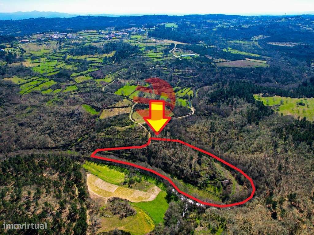 MOINHOS DE CEREAIS - Grande imagem: 4/6