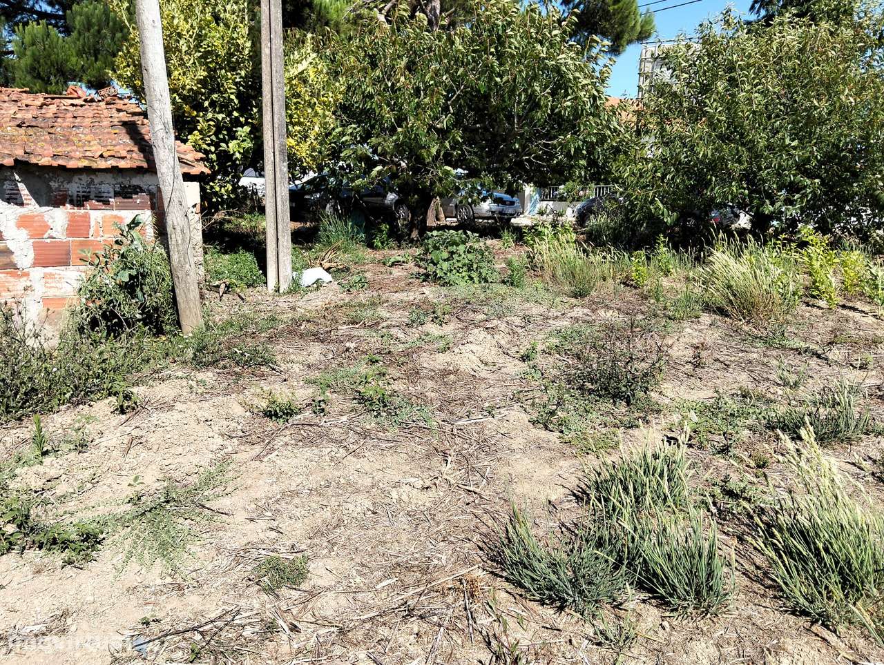 Moradia com terreno c/2 artigos Casal Jorge Dias -Alcobaça-33